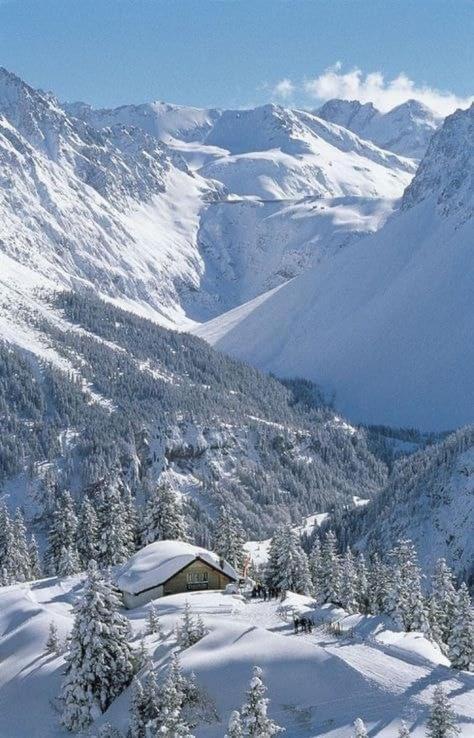 Finestra Sull'Adamello Διαμέρισμα Passo del Tonale Εξωτερικό φωτογραφία